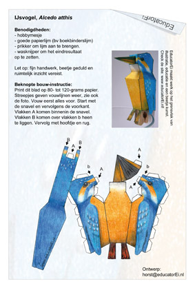 ijsvogelvouwblad